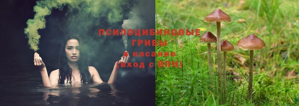 амф Богородицк