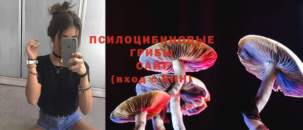 дживик Иннополис