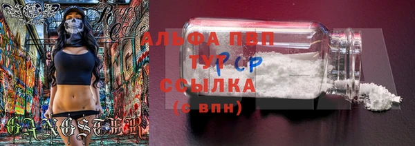 гидропоника Белокуриха