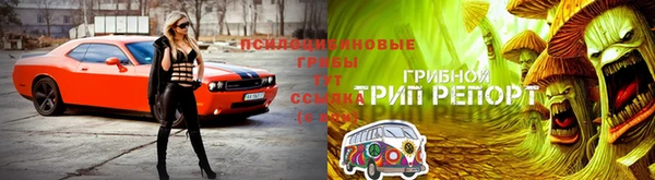 гидропоника Белокуриха