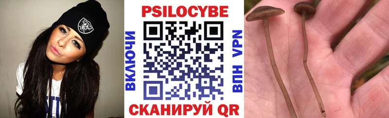Псилоцибиновые грибы Psilocybe Бодайбо